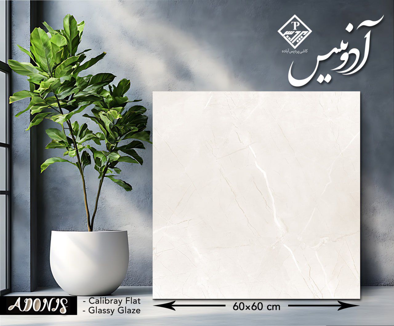 آدونیس60*60 - تصویر 2