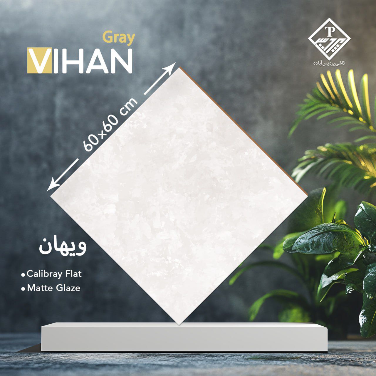 ویهان 60*60