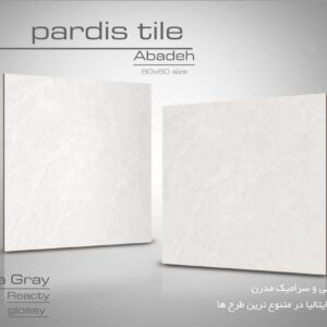 ماربلا 60*60